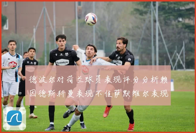 德波尔对荷兰球员表现评分分析赖因德斯科曼表现不佳萨默维尔表现出色